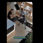 Robot humanoide responde con patadas tras ser empujado en tienda rusa