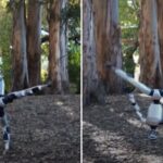 Robot G1 aprende a hacer volteretas gracias a nuevo sistema de IA de Berkeley y Stanford