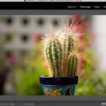 Lightroom móvil: un toque y cierra los ojos en tus fotos con IA