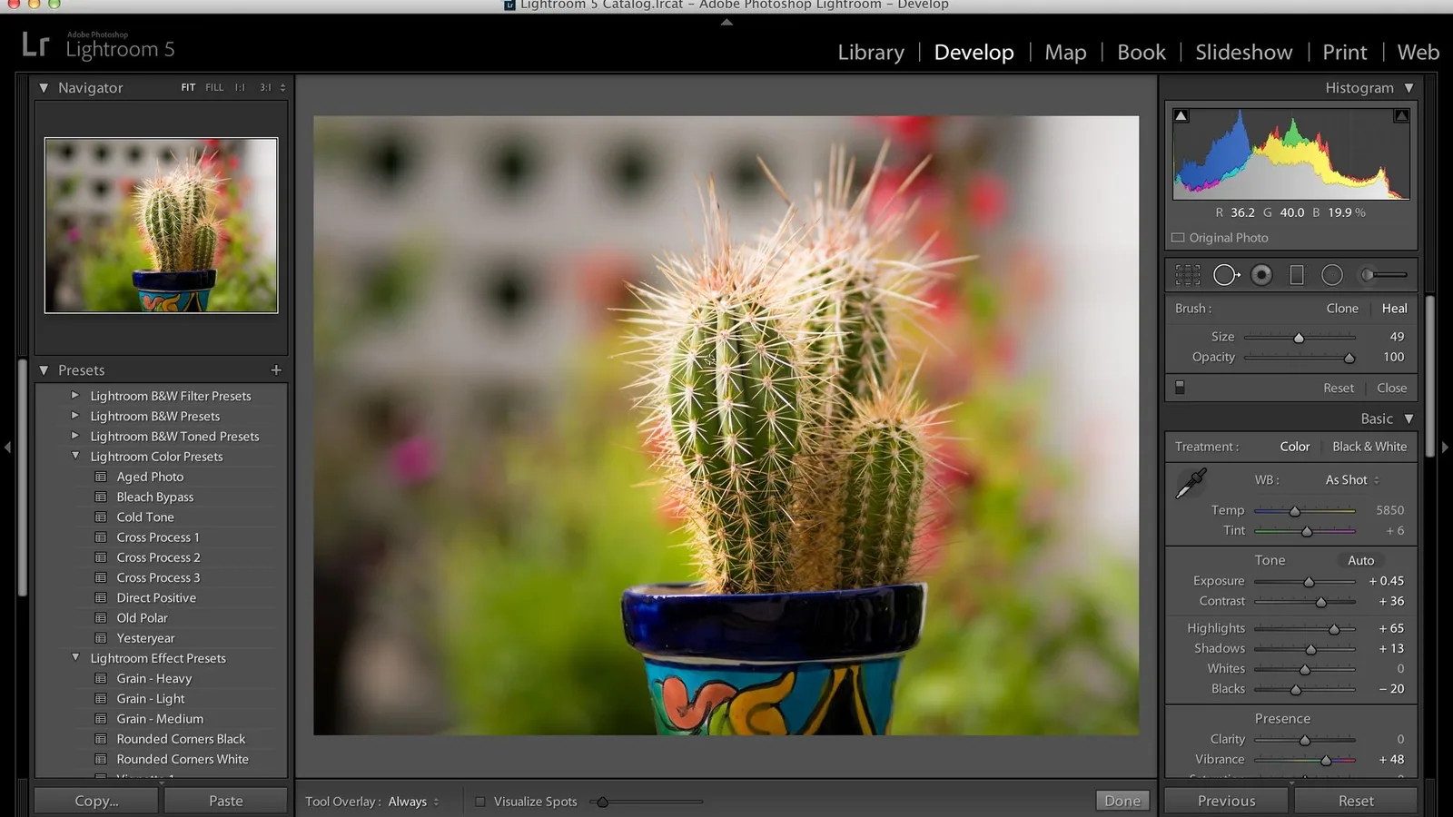 Lightroom móvil: un toque y cierra los ojos en tus fotos con IA