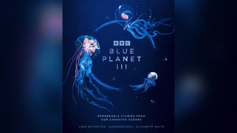 Blue Planet III dejará imperfecciones para demostrar que no es IA