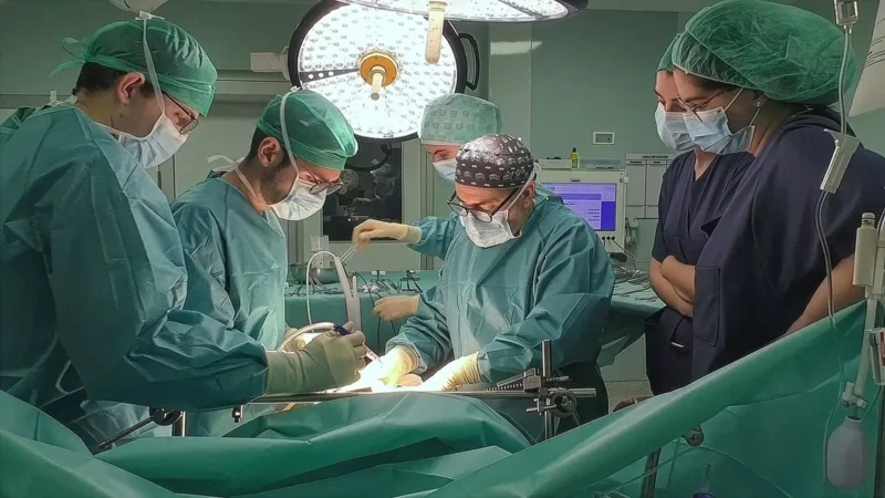 Estudiantes valencianos crean una IA que mejora la compatibilidad en trasplantes de hígado