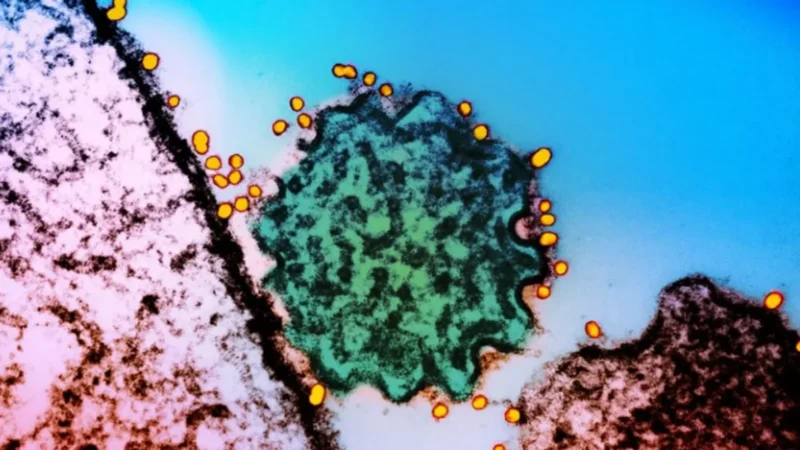 Alianza global libera estructuras de 2.800 virus con IA para anticipar pandemias